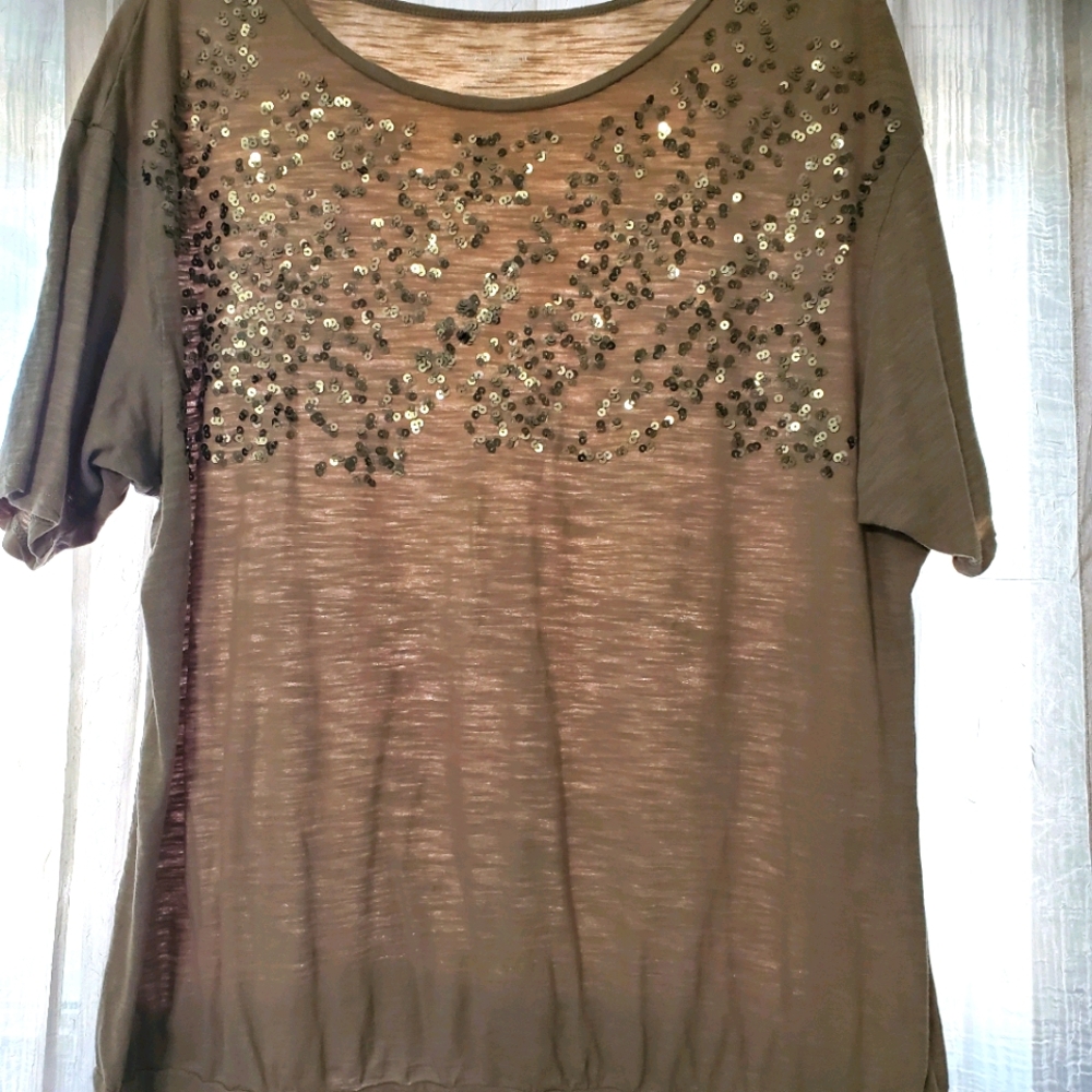 Lane Bryant size 14-16  sequined tee